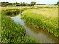 The River Isle at Hambridge