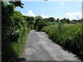 Robinson Lane, Reedley, looking east