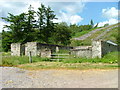 NH2561 : Ruined farm building at Achanalt by Dave Fergusson