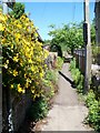 Footpath, Grittleton