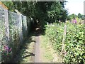 Footpath beside railway line