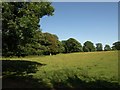 Field by the bridleway