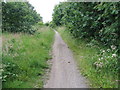 Trans Pennine Trail