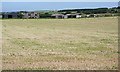 Silage Field