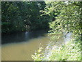 River Dearne in Dearne Valley Park