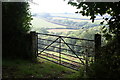 Wooded valley at Carnbarges