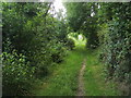 Footpath nearing Oxford Road