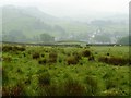 Stainforth through the Mist