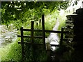 Path on the Ribble Way