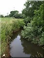 River Tone near Bradford-on-Tone