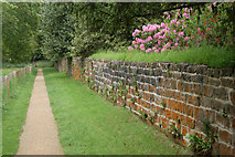 NZ0878 : A pathway on the north of Belsay Hall garden by Andy F