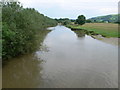 SO0391 : The Severn at Caersws by Eirian Evans