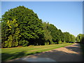 London Colney: Footpath and entrance to UCL sports ground