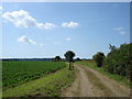 Farm track near Beaumont Hall