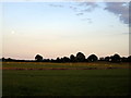 Farmland at dusk