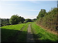 Back of Pig Stye Avenue in Jarrow