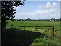 W8766 : Farmland near Rostellan Wood by John M