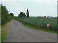 Roadway to Hackett lakes fishery