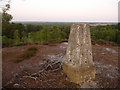 Matchams: trig point and view east