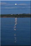 NJ1871 : Moonlight over the Covesea shore by Des Colhoun