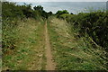 Footpath to the Oxford Canal