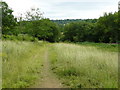 Footpath Across Park Downs, Chipstead