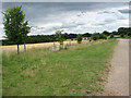 Access road to Whitlingham Quarry & Readymix Plant