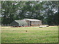 Chicken Shed in Waterlane Farm