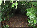 Footpath into Leggs Wood