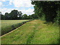 Footpath to Hareplain