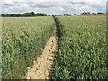 Footpath to Biddenden