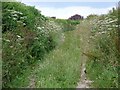 Bridleway near Horningsham