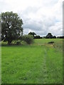 Footpath near Kingsley