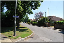 TG2008 : Gipsy Lane off Bowthorpe Road by N Chadwick