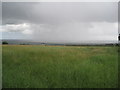 Farmland in Newton