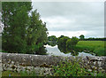 R4843 : Maigue River south of Adare, Co. Limerick: south-eastward by Dylan Moore