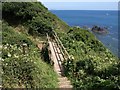 Footbridge near Polstreath