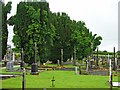 N2672 : Cemetery: Edgeworthstown, Co. Longford by Dylan Moore