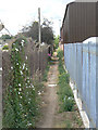 Footpath through the industrial estate