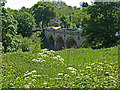 View towards Mercury Bridge