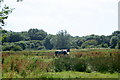 Meadow beside The Gannel at Trerice Mill