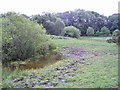 Pond and Pasture