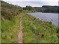 H0256 : Footpath alongside Lough Meenameen by Oliver Dixon