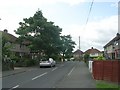 Tofts Avenue - Griffe Head Road