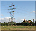 TG2306 : Electricity pylon in pasture by Evelyn Simak