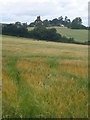 Langford Budville church from the south