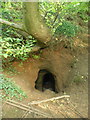 Entrance to the Caynton Hall cave / grotto