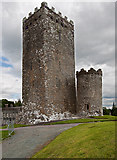 W2892 : Castles of Munster: Drishane, Cork (1) by Mike Searle