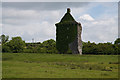 R4808 : Castles of Munster: Lisgriffin, Cork (1) by Mike Searle