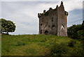 R6507 : Castles of Munster: Ballynamona, Cork by Mike Searle